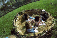 [PHOTO:Children at 1999 White House Easter Egg Roll sitting in an nest]