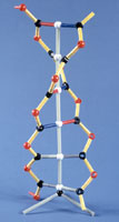 PHOTO: Structure of DNA