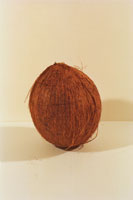 A coconut