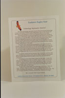 PHOTO: Eastlawn Eagles Soar letter